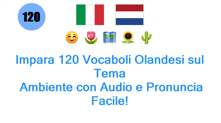 Impara 120 Vocaboli Olandesi sul Tema: Ambiente con Audio e Pronuncia Facile!